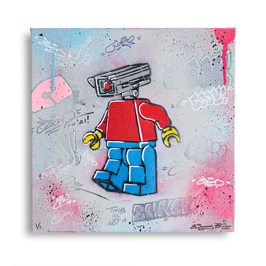 Big Brother Is Watching You