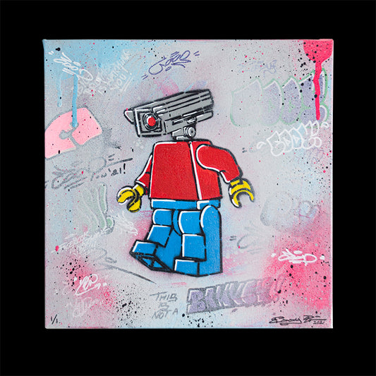 Big Brother Is Watching You